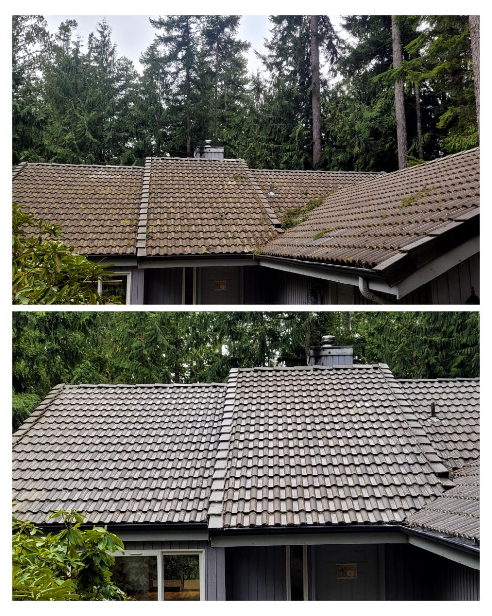 Tile Roof Cleaning in Port Ludlow, WA